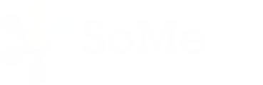 Somemi